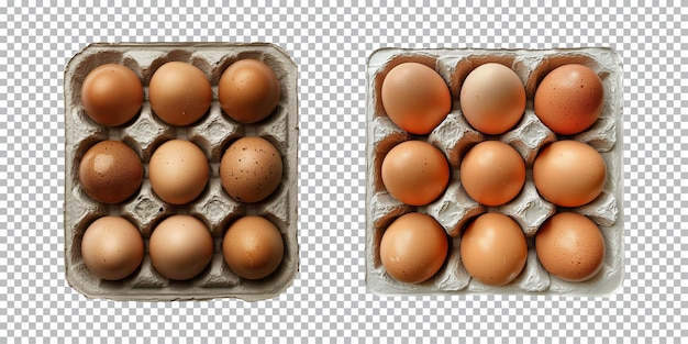 Eggs on paper egg tray isolated on a transparent background top view