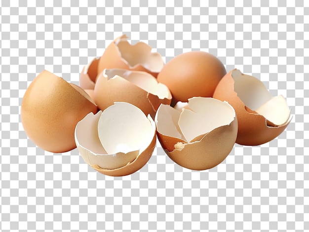 Eggshells isolated on transparent background