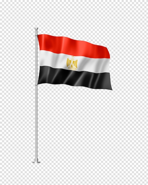 Egyptian flag isolated on white