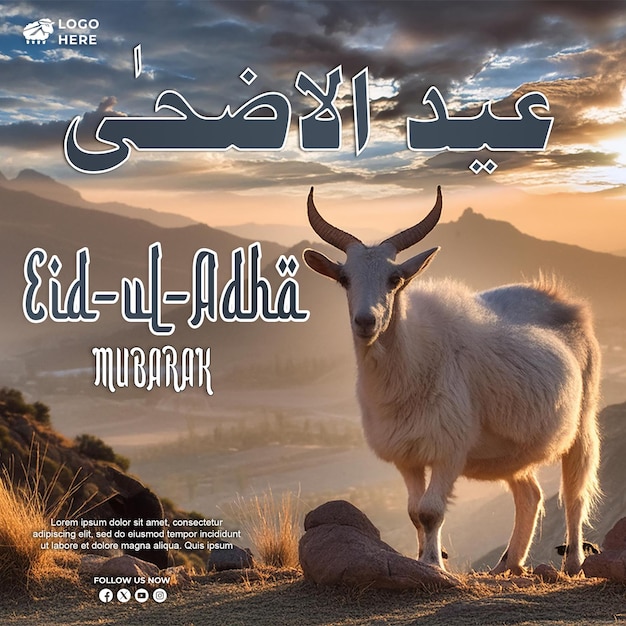 PSD eid al adha soical media template a goat on mountain and beautifull weather in background