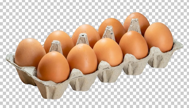 PSD eieren in een kartonnen doos op een doorzichtige achtergrond