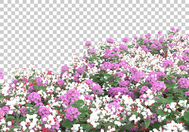 Eiland van bloemen op transparante achtergrond 3d-rendering illustratie