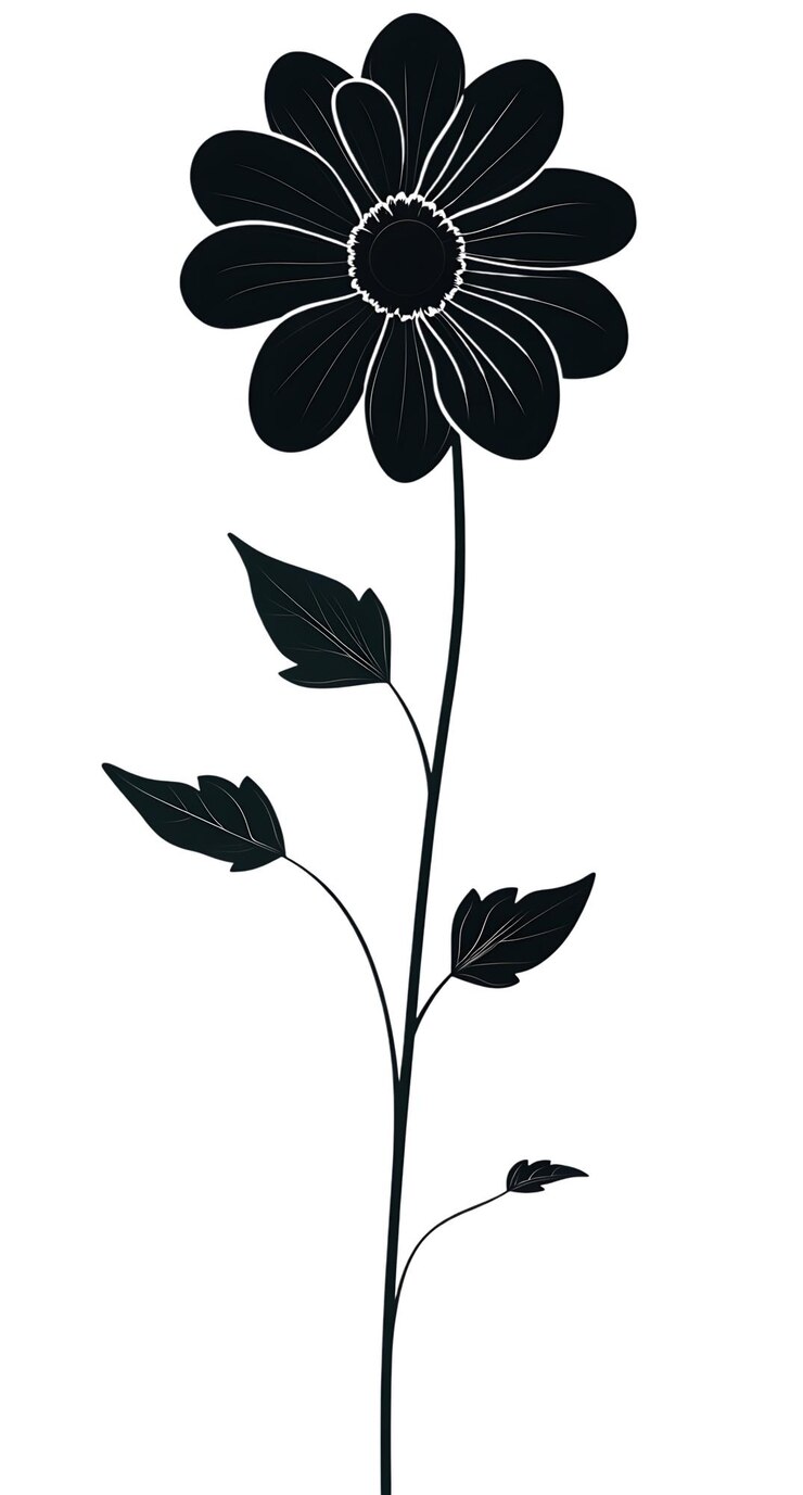 PSD elegant black flower illustration