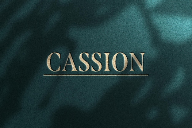 Elegant deboss logo mockup