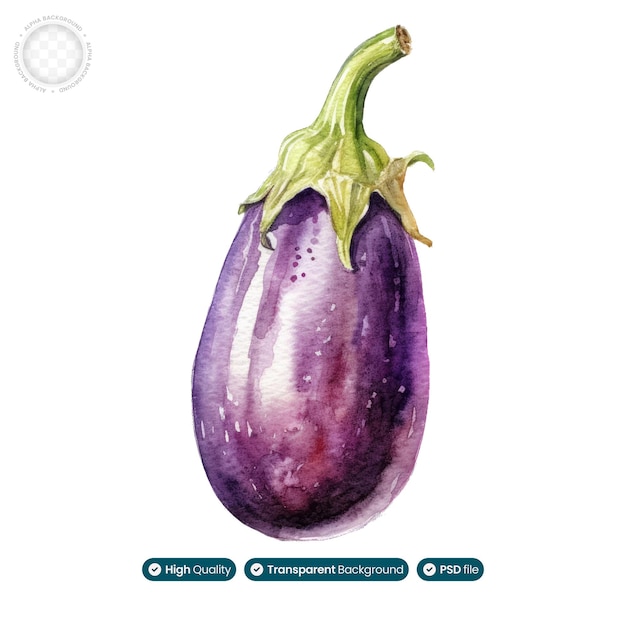 PSD elegant en voedzaam aquarelkunstwerk van een aubergine