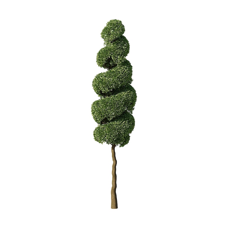 PSD elegant green spiral topiary tree for garden decoration