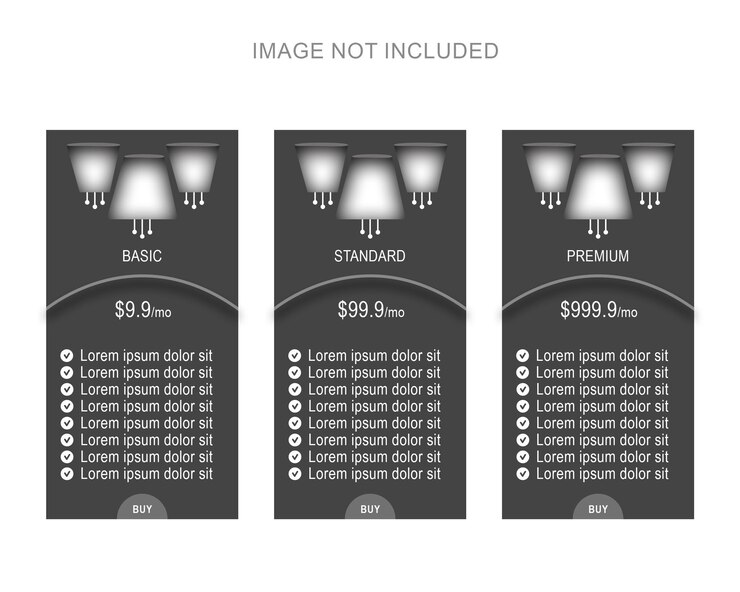 PSD elegant new pricing table for professional
