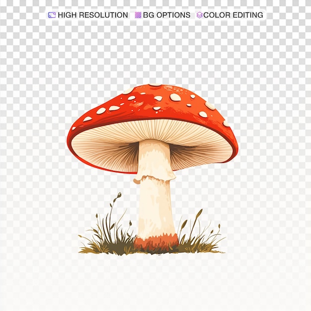 Elegante botanische illustratie van een paddenstoel op witte achtergrond