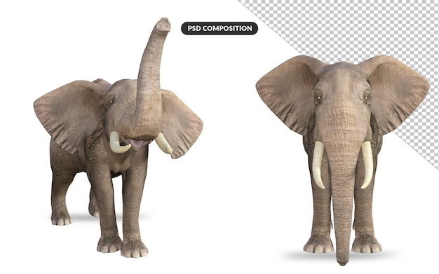 PSD elephant 3d model illustration