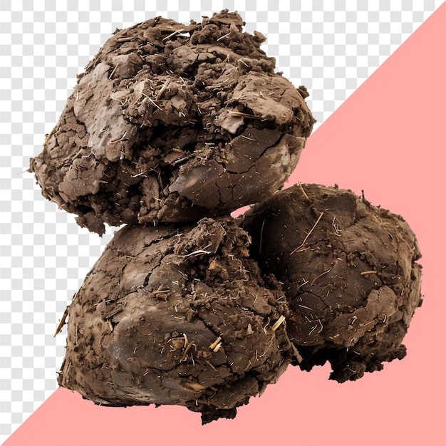 Elephant dung transparent background isolated image generative AI