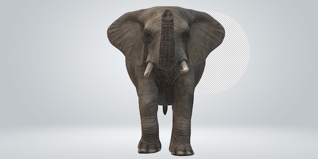 PSD elephant isolated on a transparent background