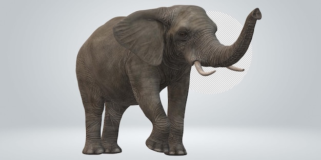 PSD elephant isolated on a transparent background