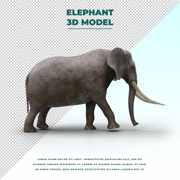 PSD elephant isolated