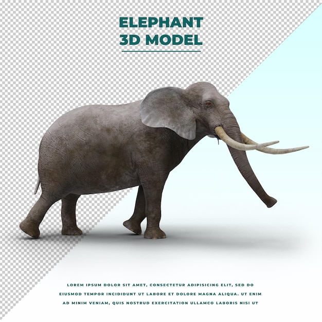 PSD elephant isolated