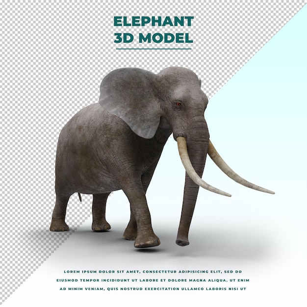 PSD elephant isolated