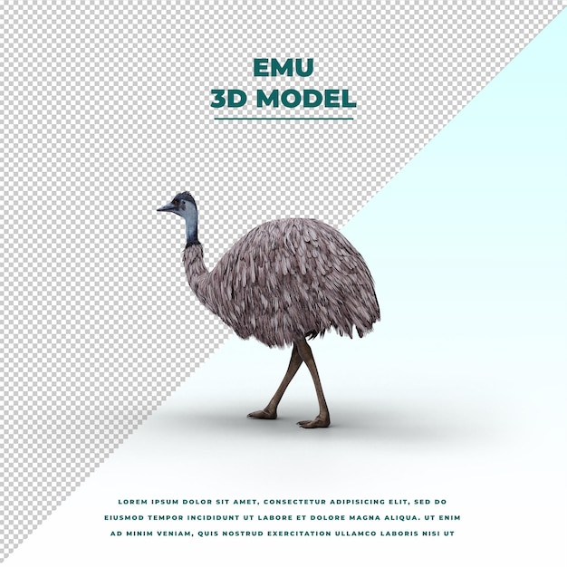 Emu isolated