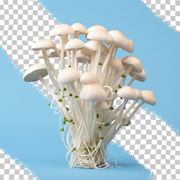 PSD enoki mushrooms against a transparent background