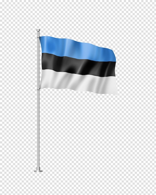 Estonian flag isolated on white