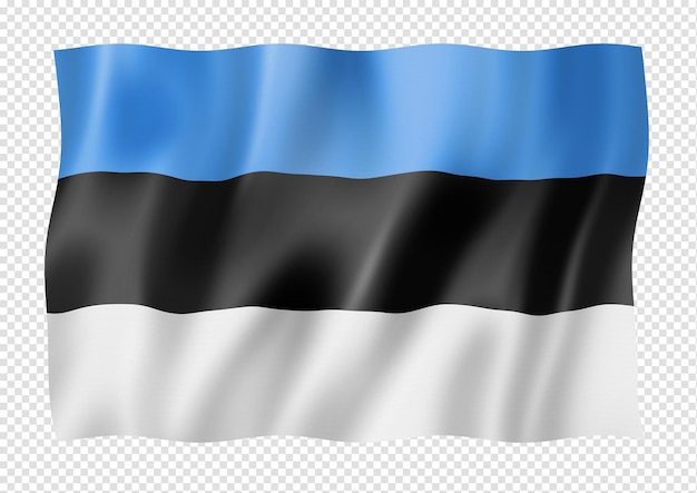 Estonian flag isolated on white