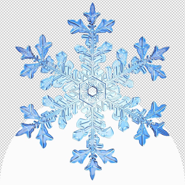 Et snefnug med ordet snow på