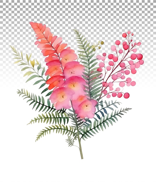 PSD ethereal watercolor clipart of mimosa blossoms