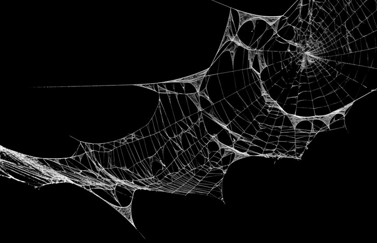 PSD ethereal weavings of life
