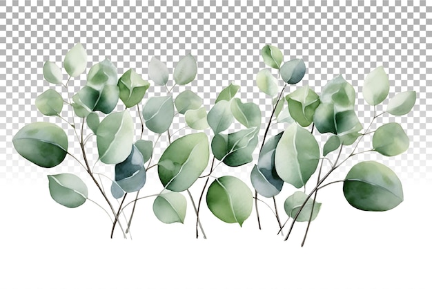 PSD eucalyptus leaves border watercolor illustration for wedding invitations and stationery design