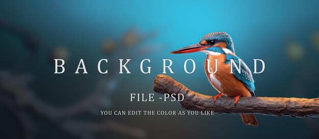 PSD european kingfisher sitting on tree branch blur forest background