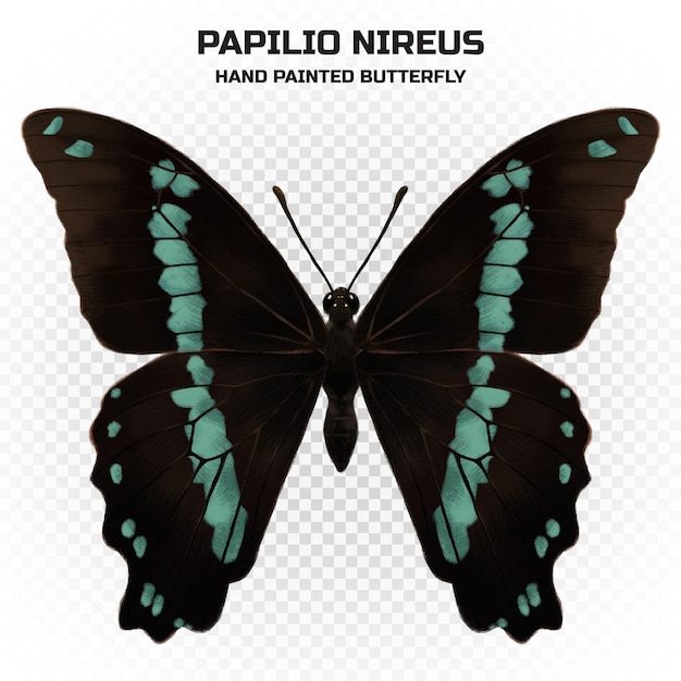 PSD exemplaar van realistische kleurrijke vlinder met wetenschappelijke naam in hoge kwaliteit voor decoratie
