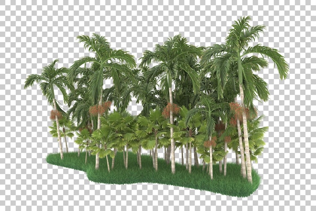 Exotic forest on transparent background. 3d rendering - illustration