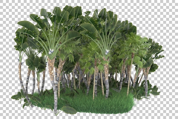 Exotic forest on transparent background. 3d rendering - illustration