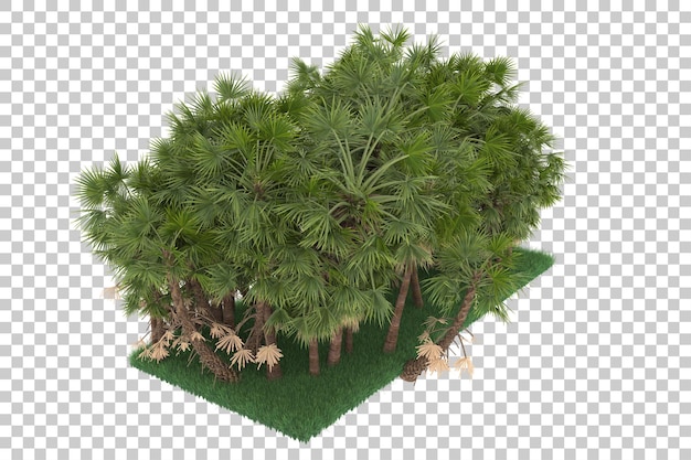 Exotic island on transparent background. 3d rendering - illustration
