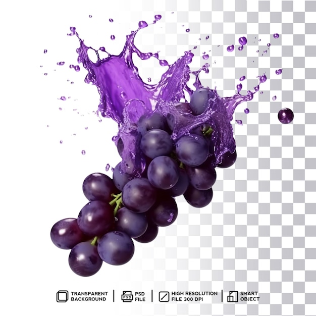 Expressive purple grape color splash swirl with transparent background in psd