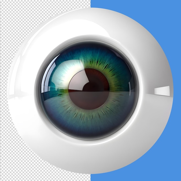 Eyeball medical illustration 3d rendering of human body