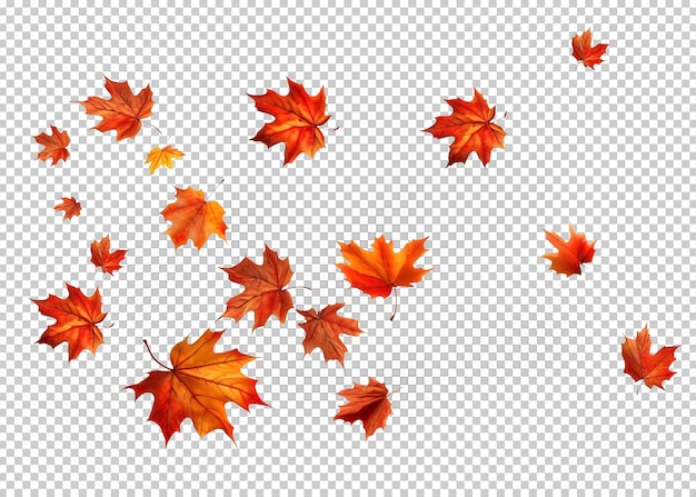 PSD fall leaf isolated on transparent background