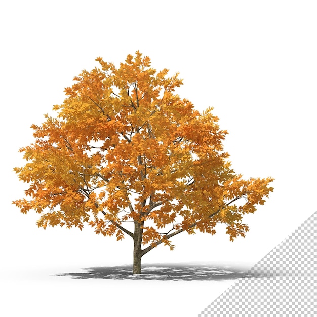 PSD fall tree png