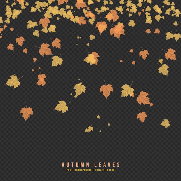 Falling autumn leaves isolated on transparent background