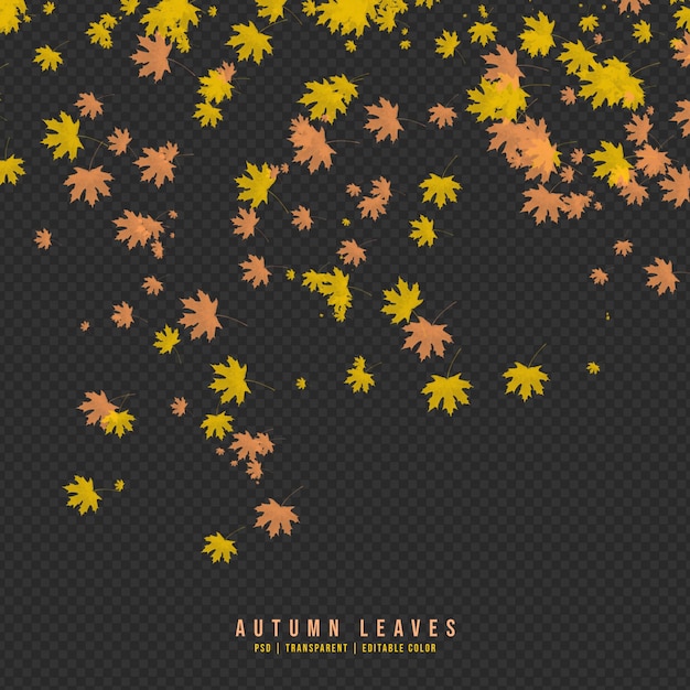 Falling autumn leaves isolated on transparent background