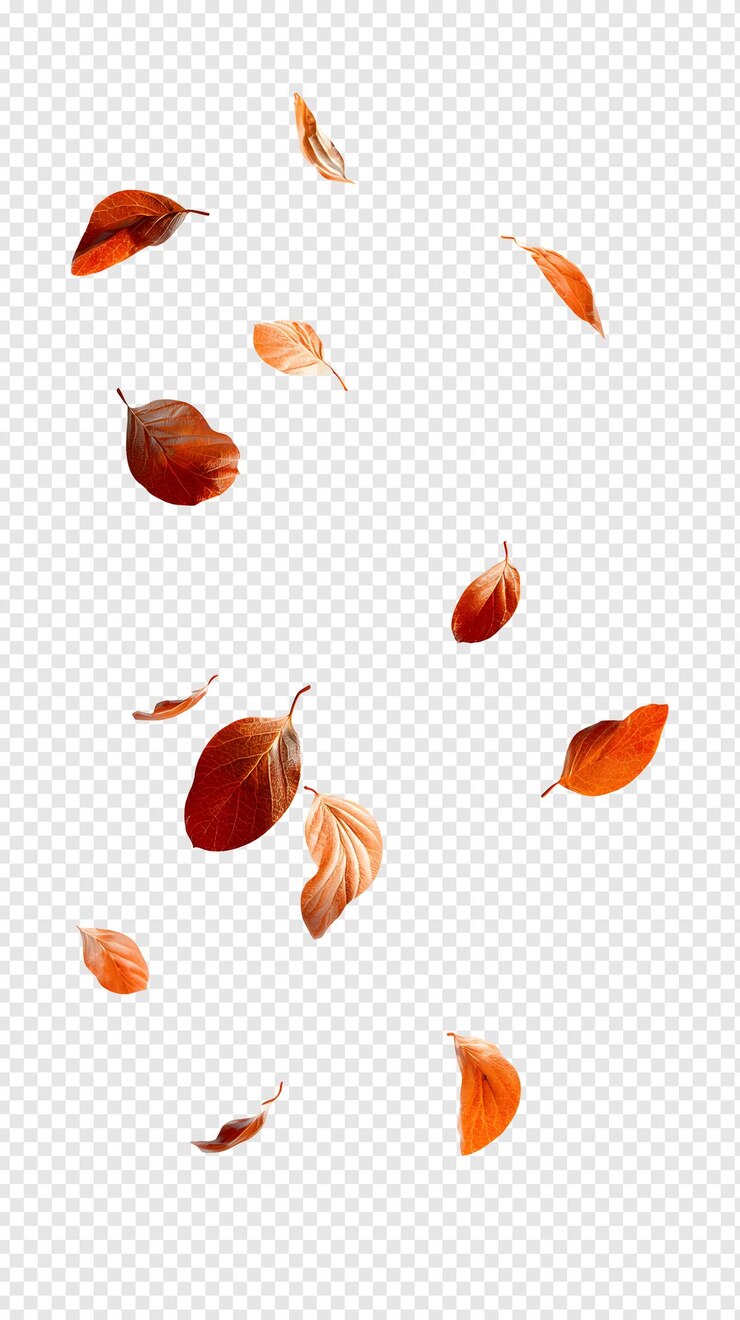 PSD falling autumn leaves on a transparent background