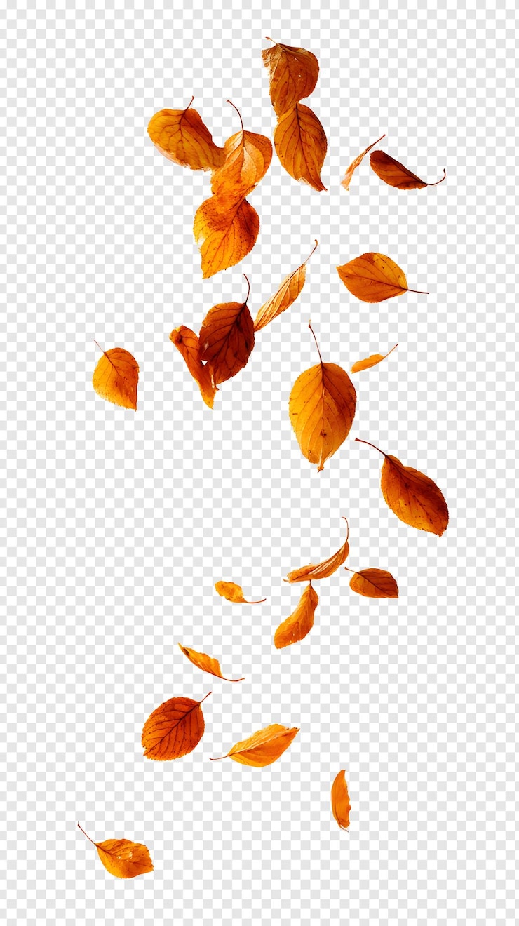 PSD falling autumn leaves with transparent background