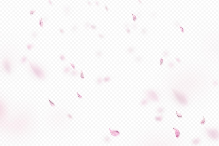 PSD 桜 の 花びら が 落ちる