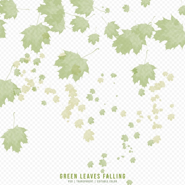 falling green and dry leaves isolated on transparent background