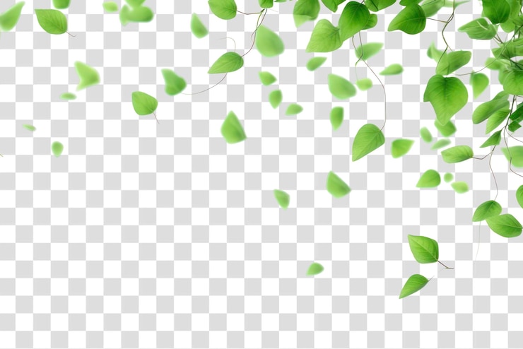 PSD falling green leaves backgrounds plant leaf