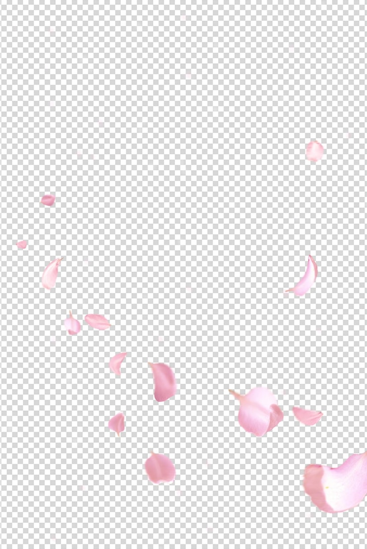PSD 落ちるピンクの桜の花びら