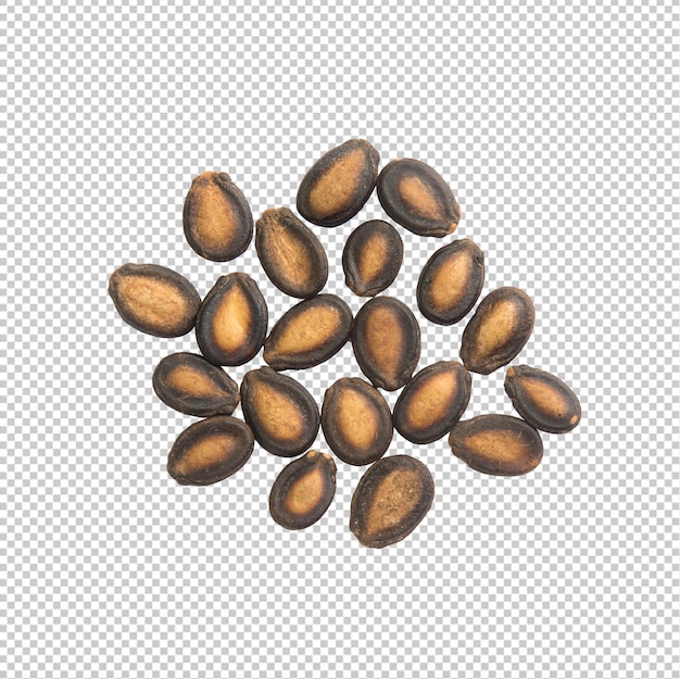 Falling watermelon seeds cutout Psd file