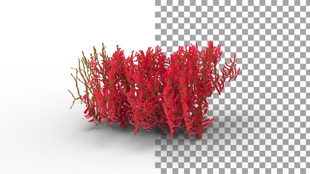 PSD fan coral with shadow 3d render