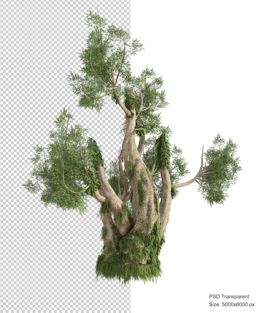 PSD 幻想的なツリー分離3dレンダリング