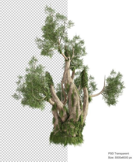 PSD fantastic tree isolated 3d render