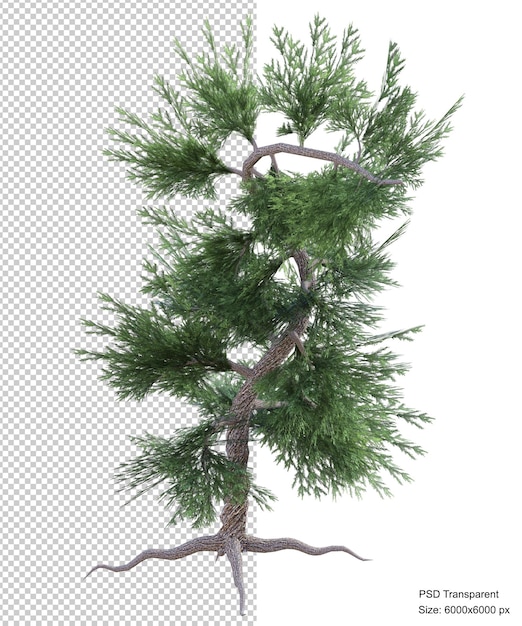 Rendering 3d isolato albero fantastico