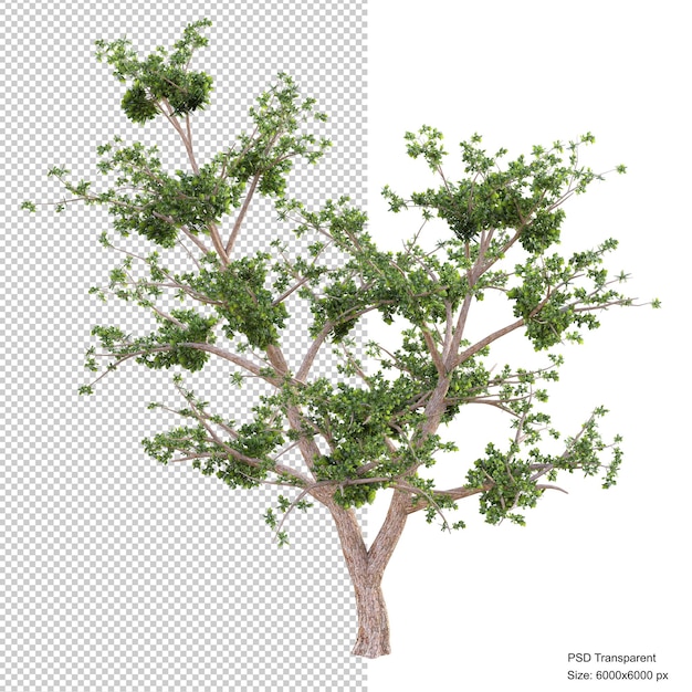 Rendering 3d isolato albero fantastico